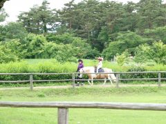 広大な農場で心癒される♪ 小岩井農場サクッと観光コース