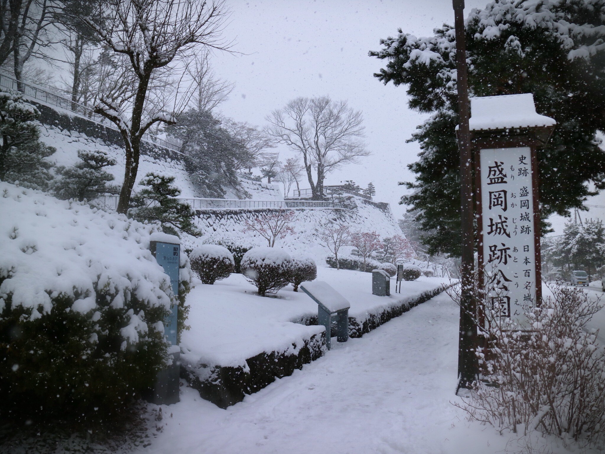 雪景色の盛岡城跡公園