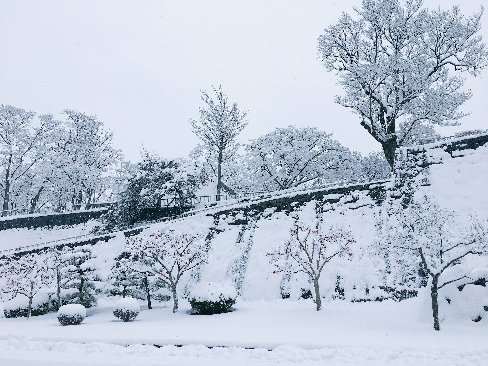 雪の盛岡城跡公園2